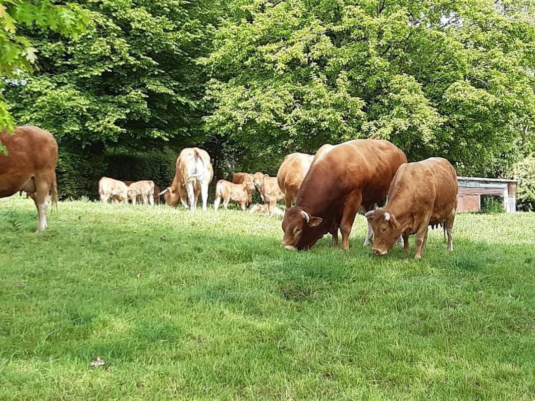Au Bocage Parfume Gite La Cigaline Wirwignes Luaran gambar